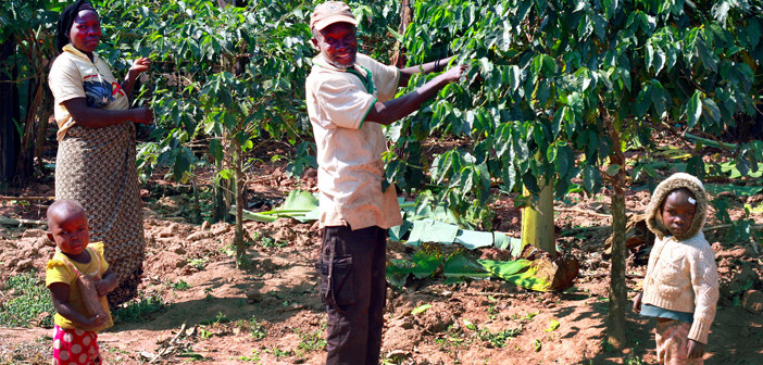 Coffee-Growers-WMCR1-702x336